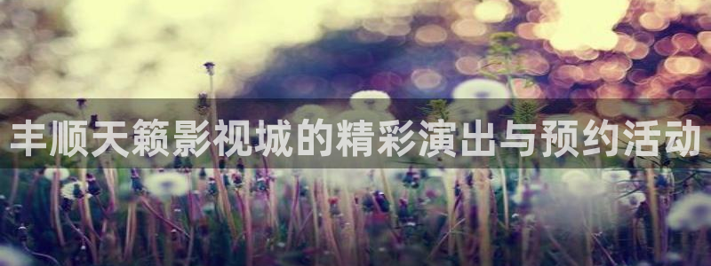 南瓜有什么用：丰顺天籁影视城的精彩演出与预约活动