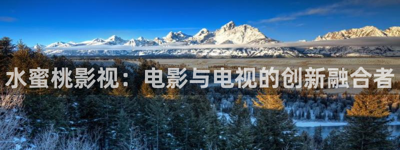 南瓜影院电视剧免费播放：水蜜桃影视：电影与电视的创新融合者
