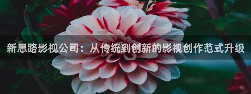 南瓜电影app免费下载：新思路影视公司：从传统到创新的影视创作范式升级