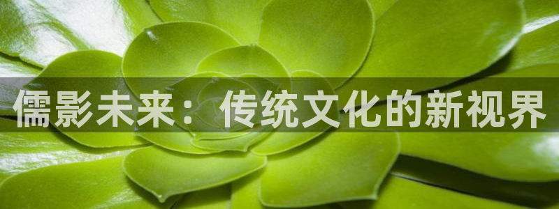 南瓜电影极速版：儒影未来：传统文化的新视界