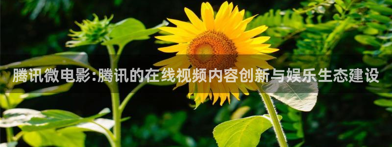 泸州南瓜：腾讯微电影:腾讯的在线视频内容创新与娱乐生态建设