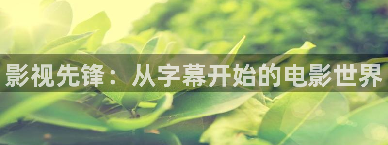 云南南瓜：影视先锋：从字幕开始的电影世界