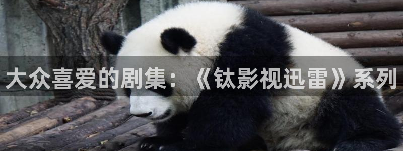 的南瓜：大众喜爱的剧集：《钛影视迅雷》系列