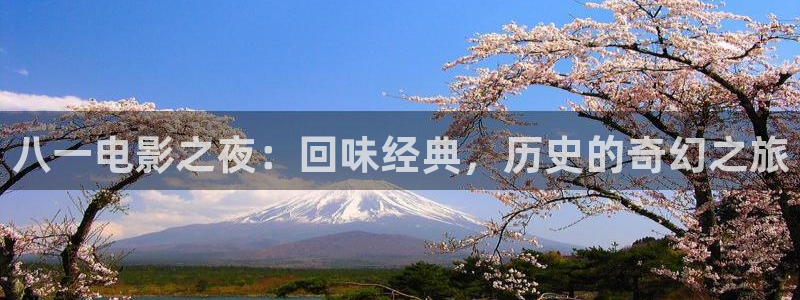 湖南蜜本南瓜：八一电影之夜：回味经典，历史的奇幻之旅