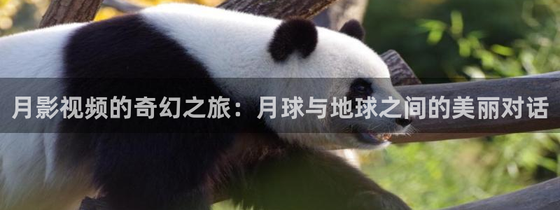 南瓜电影ios：月影视频的奇幻之旅：月球与地球之间的美丽对话