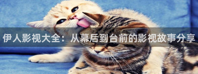 和南瓜：伊人影视大全：从幕后到台前的影视故事分享
