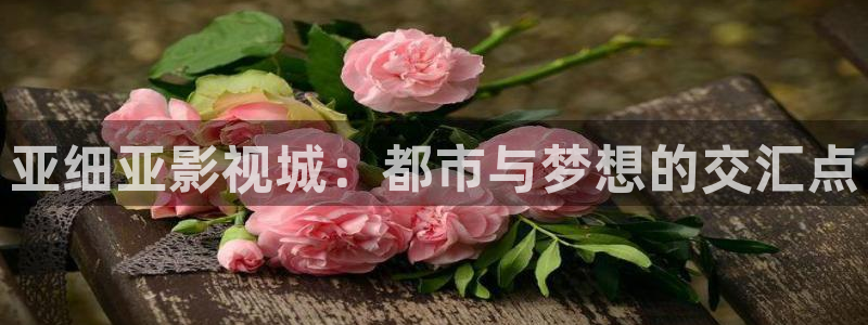《南瓜电影》：亚细亚影视城：都市与梦想的交汇点