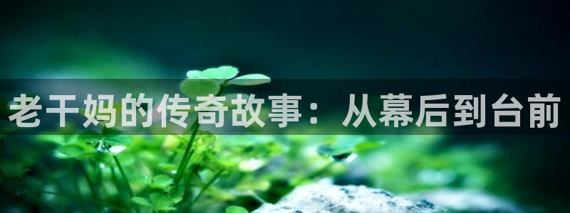 安徽蜜本南瓜：老干妈的传奇故事：从幕后到台前