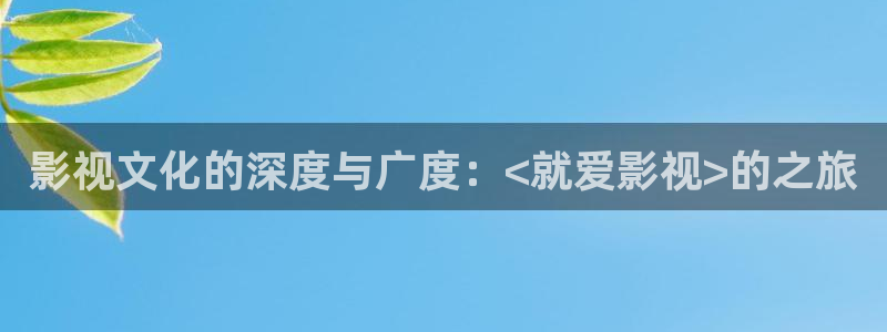 南瓜电影南瓜影视app：影视文化的深度与广度：<就爱影视>的之旅