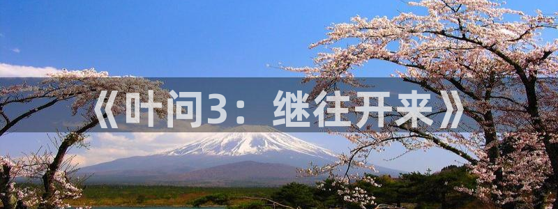 南瓜包：《叶问3：继往开来》