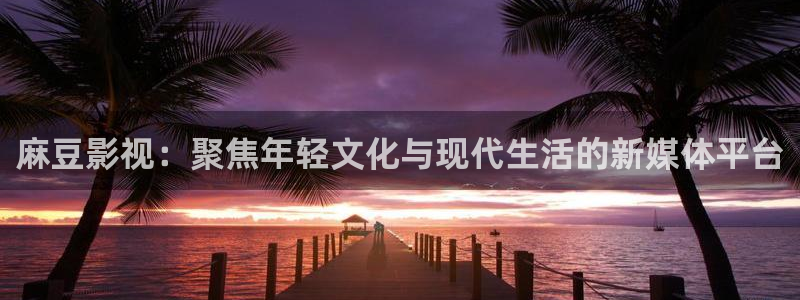南瓜电影是什么平台：麻豆影视：聚焦年轻文化与现代生活的新媒体平台